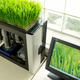 Illustration for article titled Your PC Doesnt Have to Break to Be Turned Into a Planter